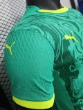 24-25 Senegal Away Player Version Soccer Jersey (Stars 2 星)