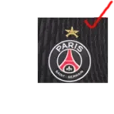 25-26 PSG Jordan Fourth 1:1 Fans Soccer jersey