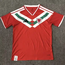 26-27 Wales Red Special Edition Fans Soccer Jersey