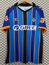 25-26 Real Betis Blue Special Edition Fans Soccer Jersey
