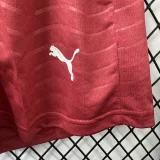 26-27 Portugal Home Player Version Shorts Pants(球员短裤)