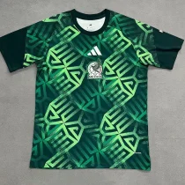 26-27 Mexico Green Fans Training shirts