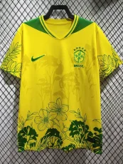 26-27 Brazil Yellow Special Edition Training shirts 花图
