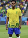 26-27 Brazil Yellow Special Edition Training shirts 花图