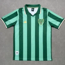 25-26 Sunderland Green Special Edition Fans Soccer Jersey