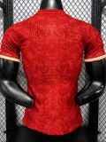 26-27 England Red Special Edition Player Version Training shirts