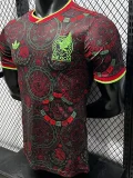 26-27 Mexico Brown Special Edition Player Version Training shirts