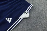 2026 AD Royal blue Jacket Tracksuit #2321