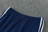 2026 AD Fancy blue Half Pull Tracksuit #814(半拉链)