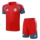 26-27 Internacional Red Training Short Suit #J26015