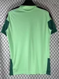26-27 Mexico Fluorescent Green Fans Training shirts
