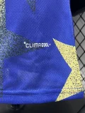 26-27 Argentina Blue Yellow Player Version Training shirts