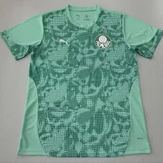 26-27 Palmeiras Light Green Goalkeeper Soccer Jersey