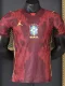 26-27 Brazil JD Red Goalkeeper Player Version Soccer Jersey
