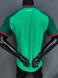 26-27 Algeria Away Player Version Soccer Jersey (无星)
