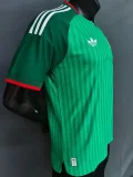26-27 Algeria Away Player Version Soccer Jersey (无星)