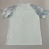 26-27 Palmeiras Grey Green Training shirts
