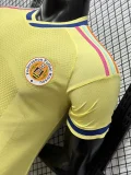 26-27 Curacao Aawy Player Version Soccer Jersey
