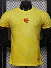 26-27 Colombia Yellow Special Edition Player Version Training shirts (逗号)