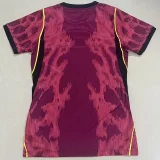 26-27 Brazil JD Red Goalkeeper Women Soccer Jersey (女)