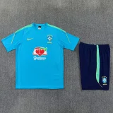 26-27 Brazil Lake blue Training Short Suit