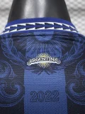 26-27 Argentina Blue Black Player Version Training shirts