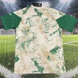 26-27 Algeria Green Yellow White Training shirts