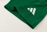 2026 AD13 Green Training Short Suit