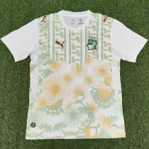 26-27 Ivory Coast Away Fans Soccer Jersey