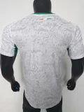 26-27 Ivory Coast White Special Edition Player Version Soccer Jersey