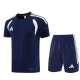 2026 AD14 Royal blue Training Short Suit