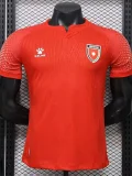 26-27 Jordan Away Player Version Soccer Jersey