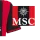MSC (左袖广告)