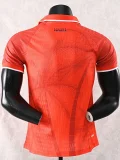 26-27 Haiti Third Player Version Soccer Jersey