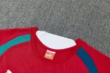 26-27 Portugal Red Training Short Suit