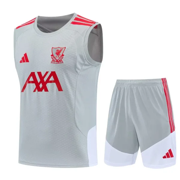 26-27 LIV Gray Tank top and shorts suit
