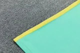 26-27 Brazil Jordan Light green Training Short Suit