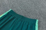 26-27 Brazil Jordan Light green Training Short Suit
