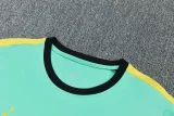 26-27 Brazil Jordan Light green Training Short Suit