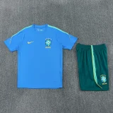 26-27 Brazil Light blue Training Short Suit