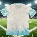 26-27 Brazil Blue White Special Edition Training shirts