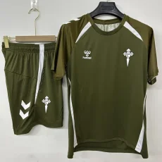 26-27 Celta Grey Training Short Suit