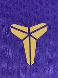 26-27 BAR Purple Player Version Training Vest (球员版)