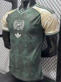 26-27 ARS Green Special Edition Player Version Training Shirts