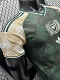 26-27 ARS Green Special Edition Player Version Training Shirts