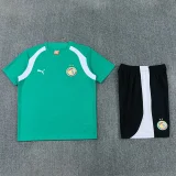 26-27 Senegal Green Training Short Suit