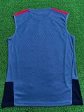 26-27 Bayern Grey ‌Player Version Training Vest (球员版)