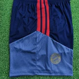 26-27 Bayern Beige Player Version Training Short Suit (球员短套装)