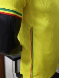 26-27 Mali Away Player Version Soccer Jersey (WA)