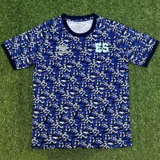 26-27 Salvador Blue Training shirts
